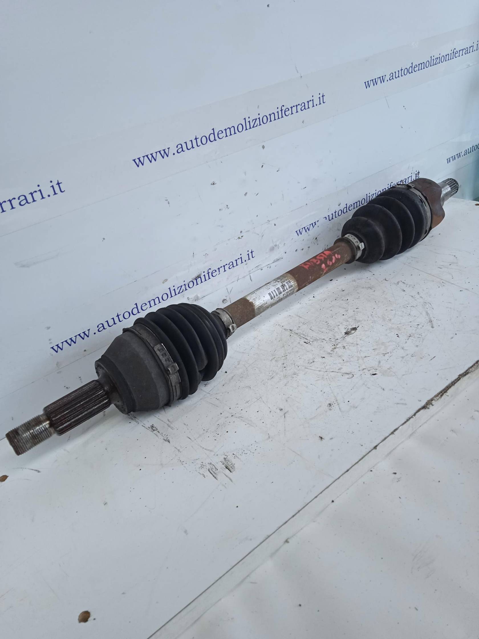 Semialbero ant. compl. sx.